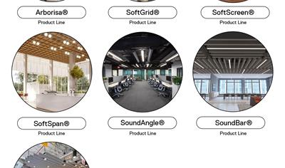 Cover image for Felt PET (SoftSound®) Ceiling and Wall Features