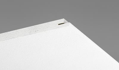 Cover image for Ecophon Focus D/A Carbon Low