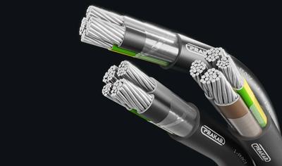 Cover image for PVC/PVC aluminium energy cables 1-AYKY of rated voltage 0,6/1 kV with extruded inner covering