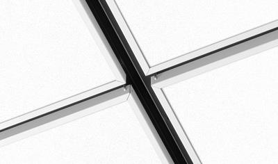 Cover image for Ecophon Access C Carbon Low