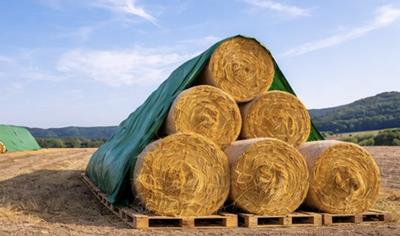 Cover image for THRACE Weather Protection Covers