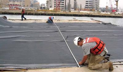 Cover image for Woven Geotextile