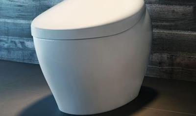 Cover image for NEOREST® NX