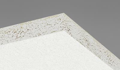 Cover image for Ecophon Hygiene Performance A 20 Carbon Low