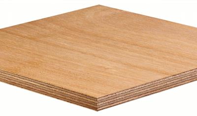 Cover image for Okoume Plywood Panels