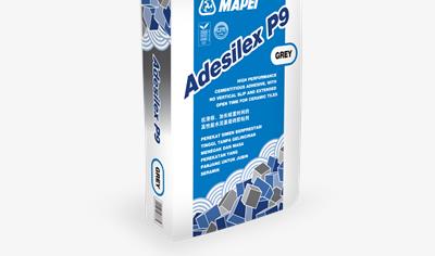 Cover image for Adesilex P9 Grey