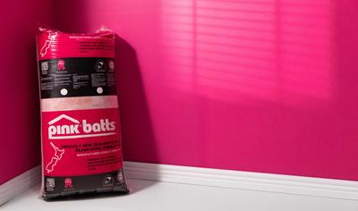 Cover image for Pink® Batts® Ceiling Insulation Products