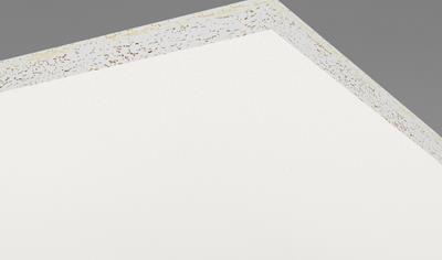 Cover image for Ecophon Master Rigid A Carbon Low