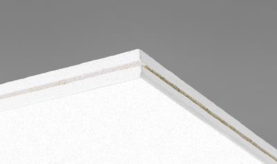 Cover image for Ecophon Focus C Carbon Low